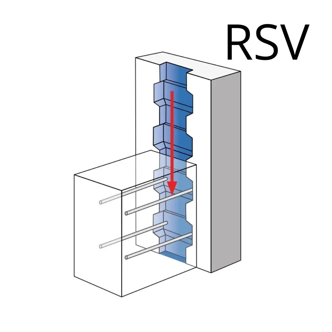 Rsv2